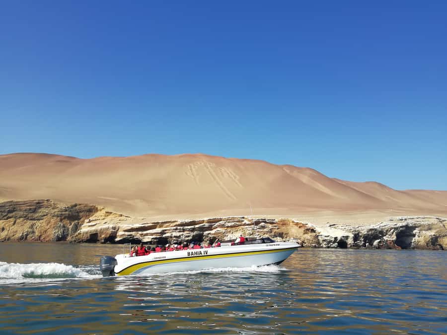 Lima: Ballestas Islands, Winery and Nazca Lines Private Tour - Nazca Lines by Cessna 208 Caravan: Seeing the Figures from Above