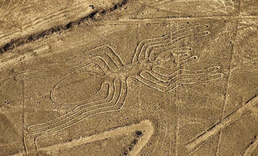 Lima: Ballestas Islands, Winery and Nazca Lines Private Tour - Chincha Alta Winery and Pisco: Wine Tasting Without the Ceremony
