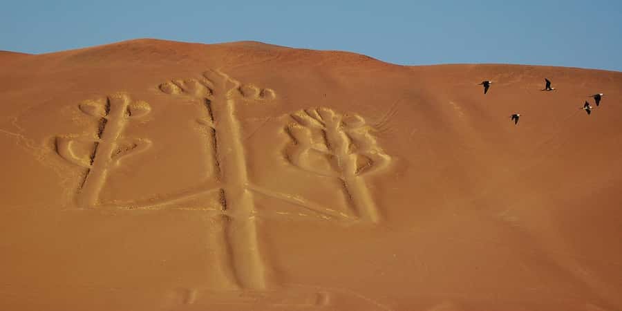 Lima: Ballestas Islands, Winery and Nazca Lines Private Tour - 4:30 AM Pickup in Lima: The Day Starts Before Breakfast