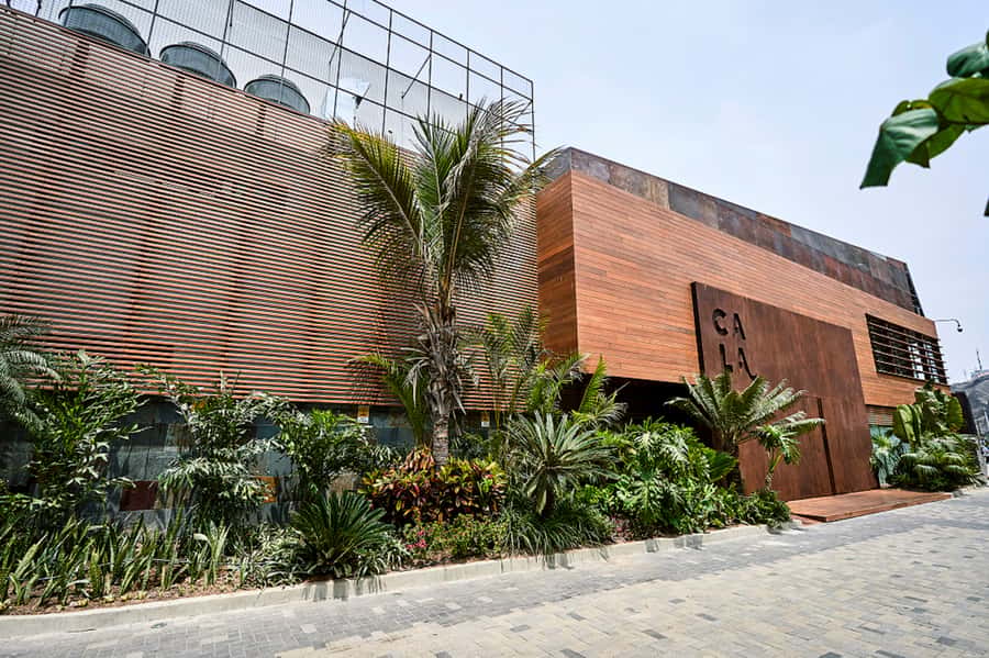 Lima: Demo Cooking Class with Lunch at Cala Restaurant - Tips to get the most out of your class and lunch