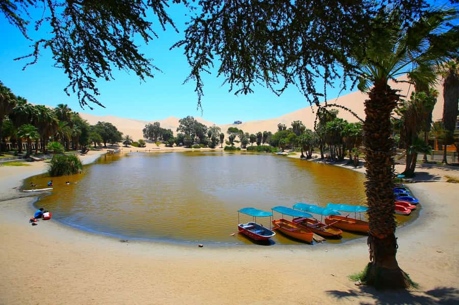 Lima: Huacachina, Winery, & Nazca Lines from Pisco Airport - What to bring so you’re comfortable all day