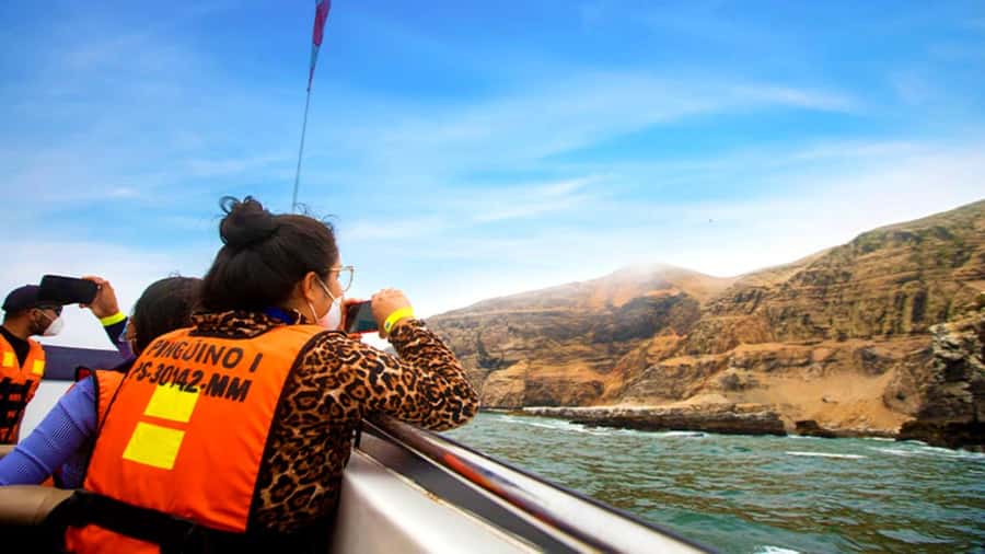 Lima | Islas Palomino Tour | Swim with Sea Lions - From La Punta meeting point to the 10–11am departure rhythm