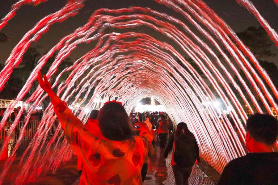 Lima: Magic Water Circuit Tour w/ Transfer & Ticket - Optional dinner show: adding Peruvian food without ruining the night