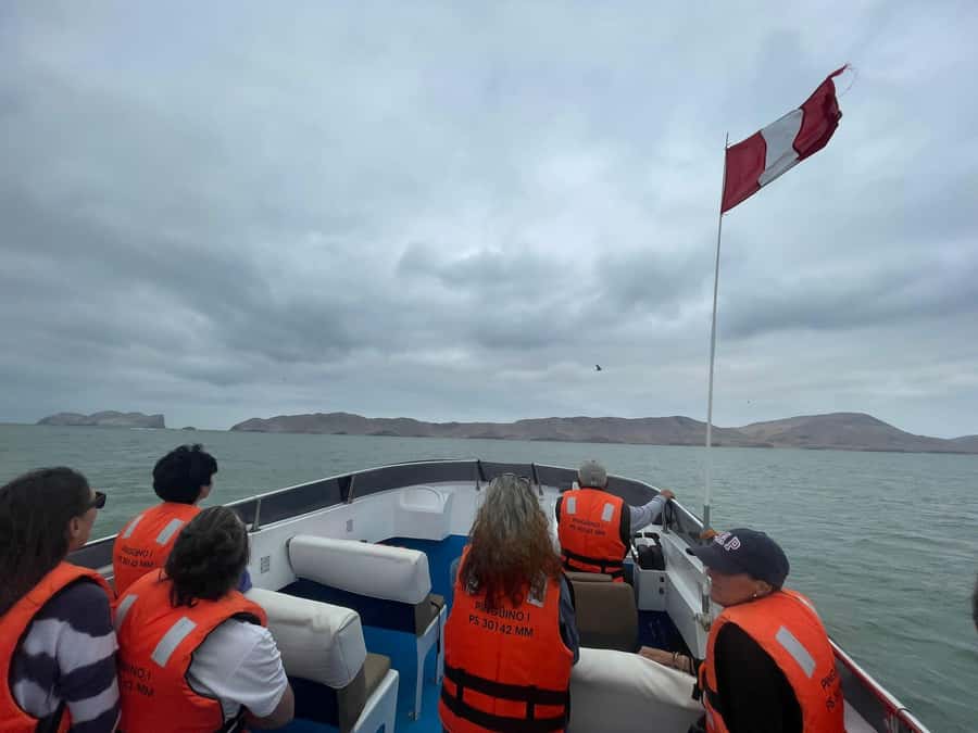 Lima: Palomino Islands Speedboat Tour & Swim with Sea Lions - Final call: should you book the Palomino Islands speedboat tour?
