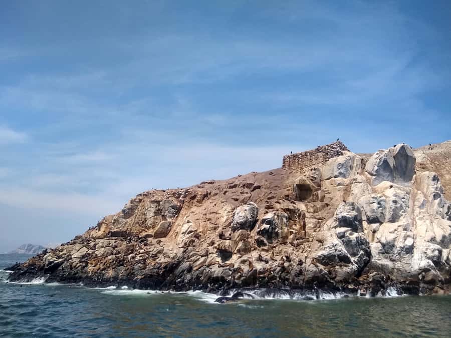 Lima: Palomino Islands Speedboat Tour & Swim with Sea Lions - What to pack so you’re not improvising on a boat
