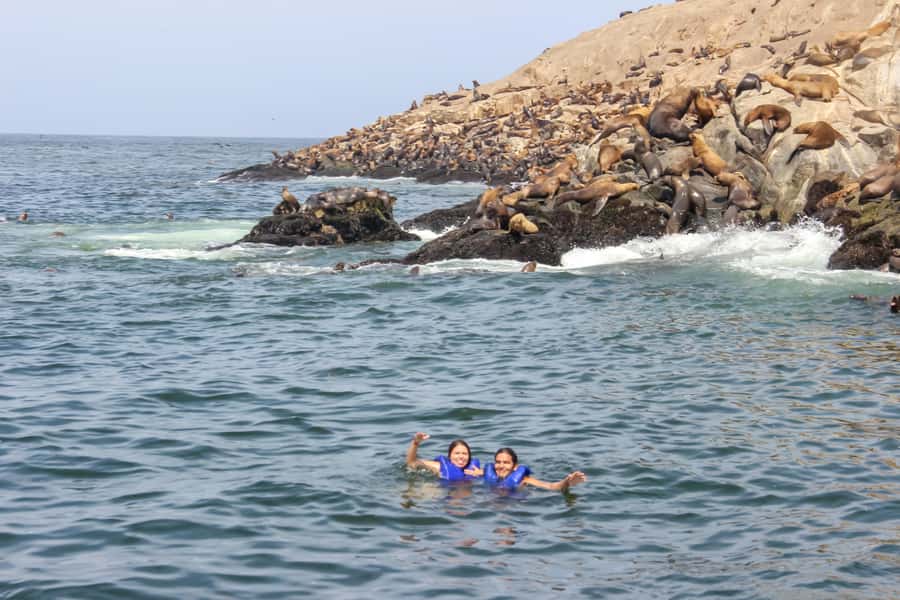 Lima: Palomino Islands Speedboat Tour & Swim with Sea Lions - Tips that make the day go smoother (and help you get photos)