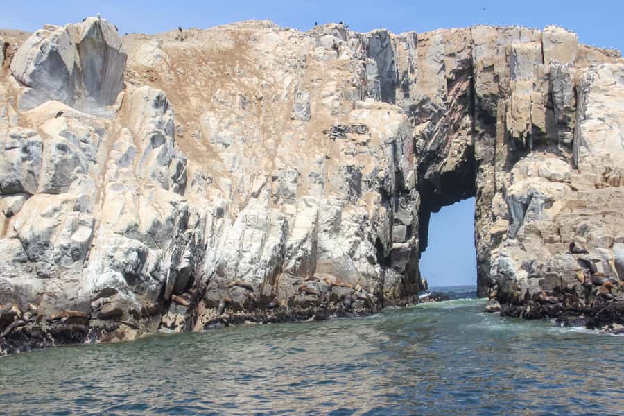 Lima: Palomino Islands Speedboat Tour & Swim with Sea Lions - Getting to Callao Harbor: the part that can make or break your mood