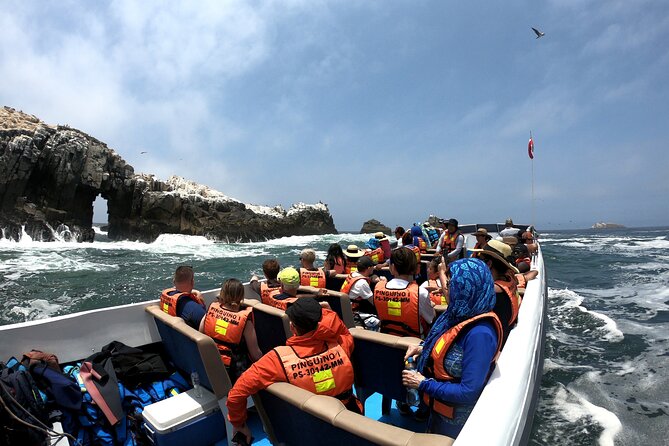 Lima Peru Sea Lions, History and Palomino Callao Islands - Stop One: Palomino and the Sea Lions in Their Own World