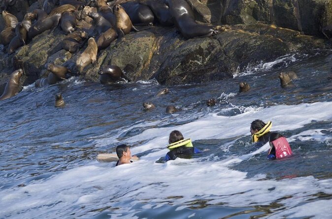 Lima Peru Sea Lions, History and Palomino Callao Islands - What to Pack (Based on What’s Not Included)