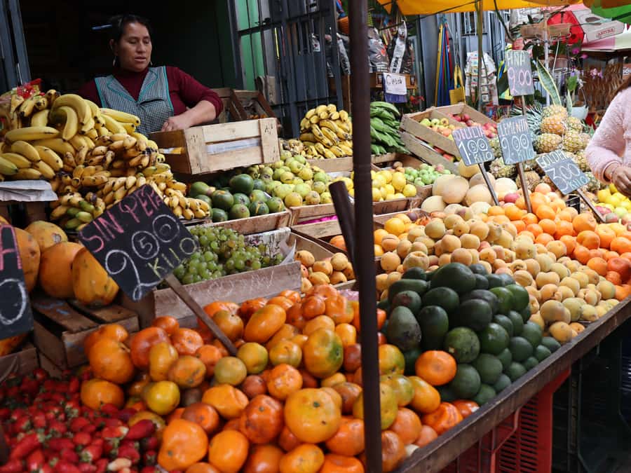 Lima: Villa El Salvador Shanty Town Tour - Getting from Miraflores, Barranco, and San Isidro to Villa El Salvador