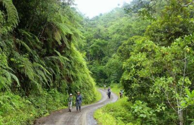 Living Nature from Cusco: 3 Days Manu Jungle all inclusive - Day 1: Cusco to Cloud Forest, Lupaca tombs, and Paucartambo’s colonial feel