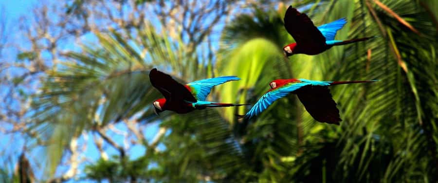 Living Nature from Cusco: 3 Days Manu Jungle all inclusive - What to bring (and what the jungle will punish you for skipping)