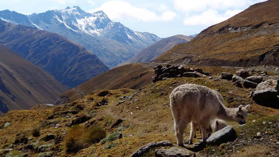 Machu Picchu 2 Days / 1 Night (By Bus) - Cusco to Abra de Malaga: Why Day 1 Starts So Early