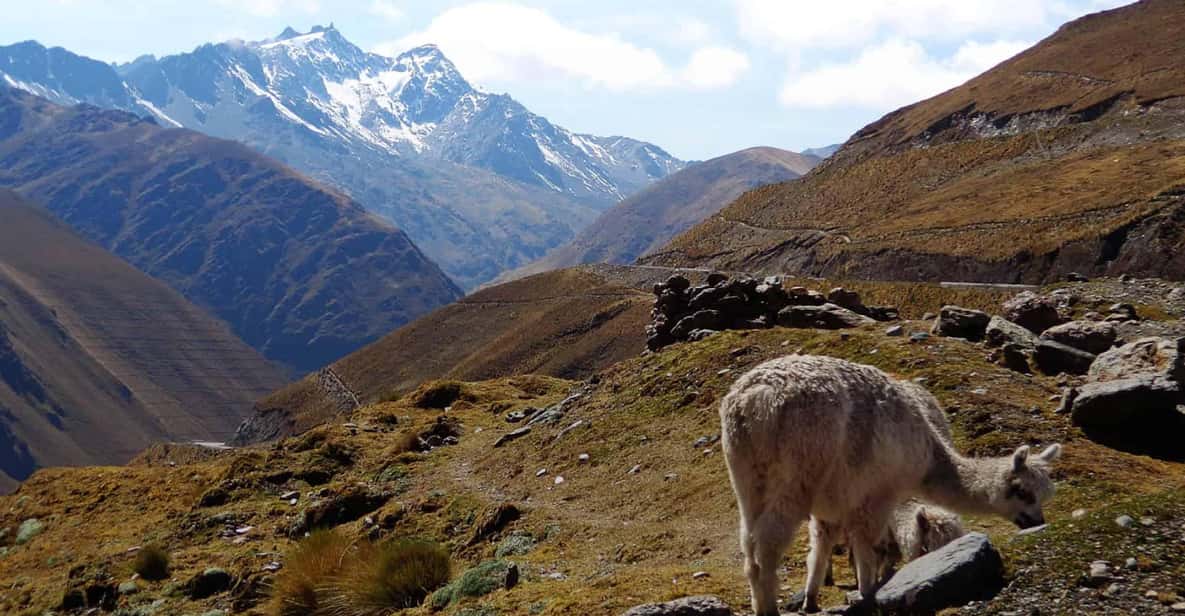 Machu Picchu 2 Days / 1 Night (By Bus) - Free Time After the Tour: When to Head Back