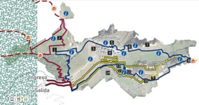 Machu Picchu Entry Ticket and Bus from Aguas Calientes - The Timed Entry System: Why Your Arrival Time Matters