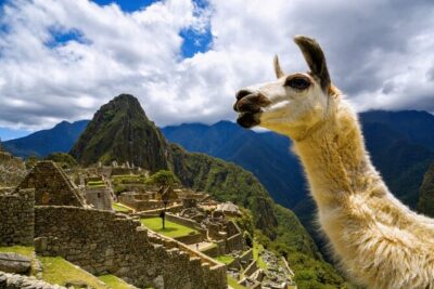 Machu Picchu Full Day with lunch by Aludi Travel - Getting to Machu Picchu: train access and guided timing