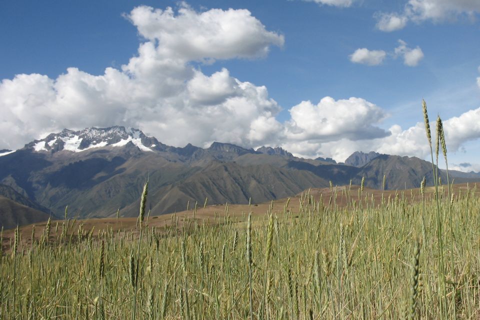 Machu Picchu: Private Full-Day Tour with Afternoon Entrance - Lunch or Markets in Aguas Calientes, Then Back to Ollantaytambo