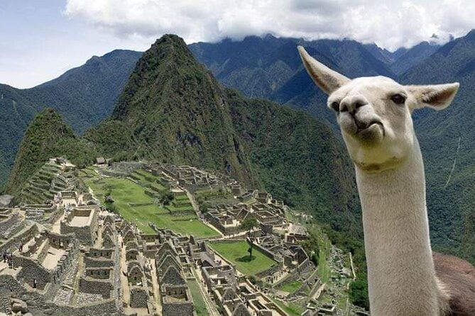 Machu Picchu Small Group Day Tour from Cusco - Head back: Aguas Calientes to Ollantaytambo to Cusco