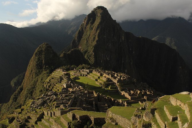 Machu Picchu Tour From Cusco Full Day - Price and Value: What $425 Actually Buys (and What Doesn’t)