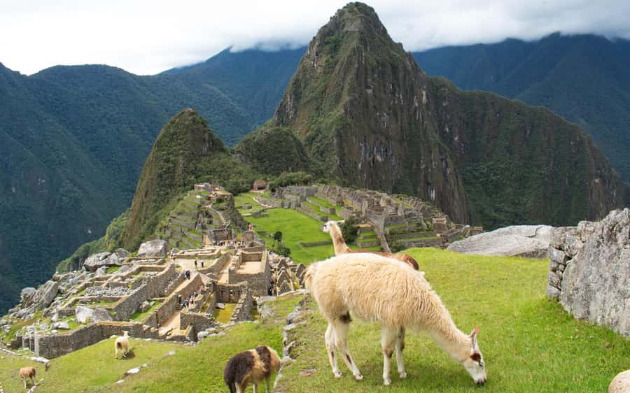 Machupicchu tour by tourist train in 2 days - Return to town, lunch break, and the long way back to Cusco