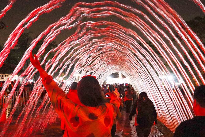 Magic Water & Laser Light Show Including Pickup And Drop-Off - Who Should Book This (and Who Might Skip It)