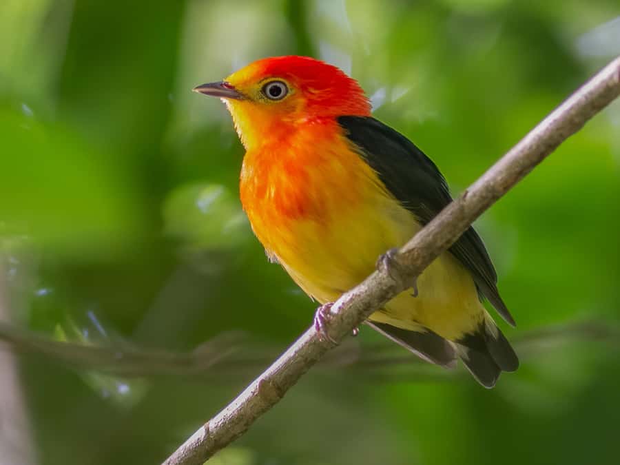 Manu National Park Tours from Cusco 5 Days - Price And Value: Does $673 Make Sense For 5 Days?