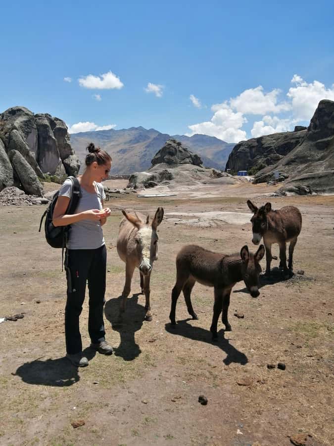Marcahuasi Experience in Lima - Marcahuasi: the rock formations and that 2.5-hour walk
