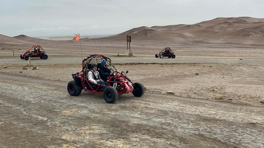 Mini Buggy GO KART in Paracas National Reserve - Key Things to Know Before You Go