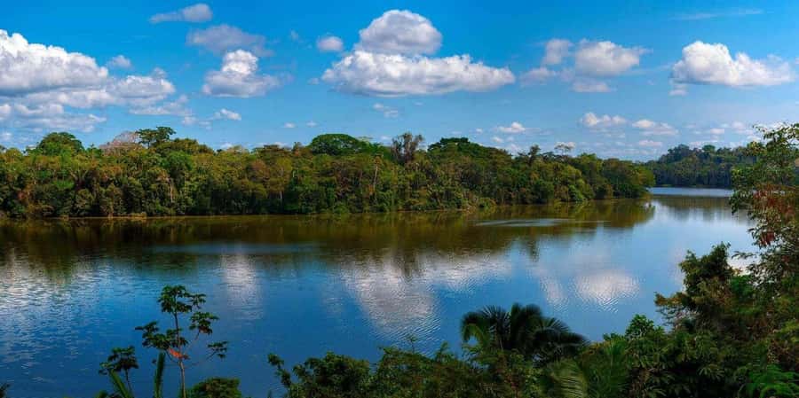 Monkey Island + Lake Sandoval 2D/1N - Key things I’d circle on your plan