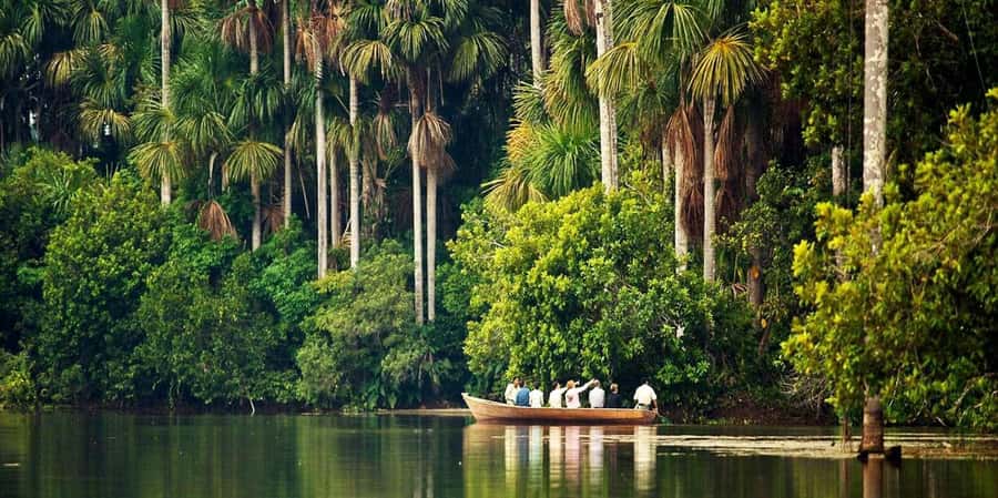 Monkey Island + Lake Sandoval 2D/1N - Where this Amazon trip actually goes: Tambopata, Madre de Dios, and Lake Sandoval