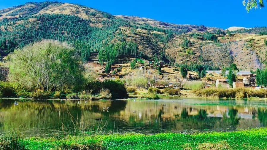 Mystic Cusco: Huasao, Valley of the Goblins and Morada - Should You Book Mystic Cusco: Huasao, Valley of the Goblins and Morada?