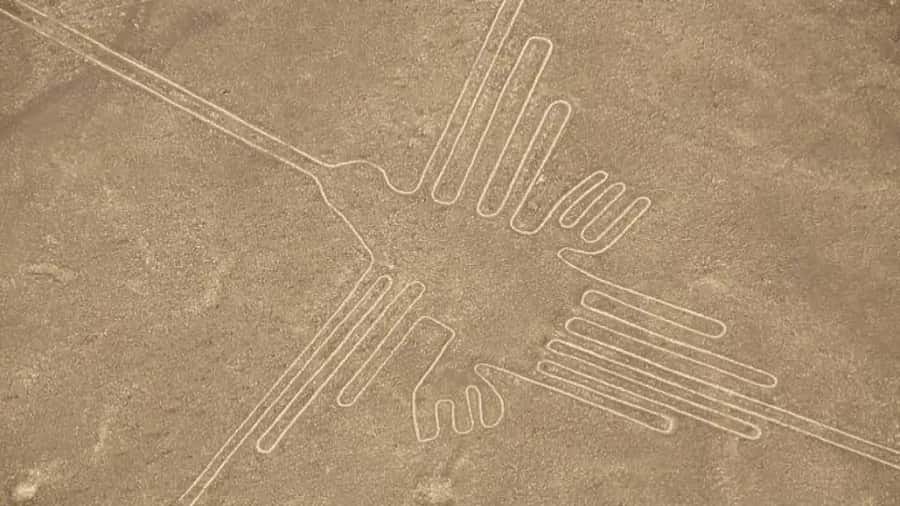 Nazca: Light aircraft flight over the Nazca Lines - My Decision Guide: Should You Book This Nazca Flight?