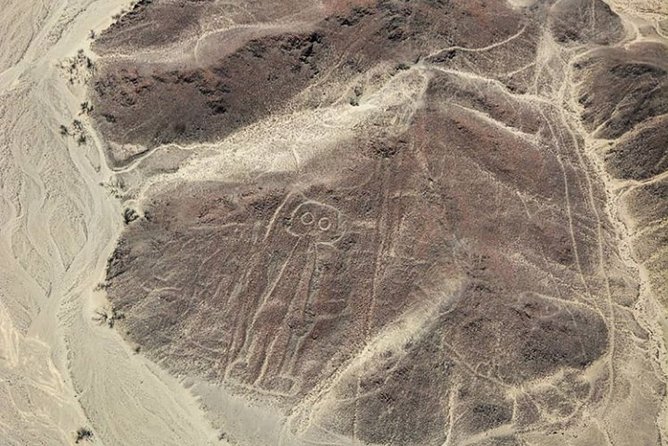 Nazca Lines and Huacachina Oasis from Lima - Motion Sickness Tips: Your Best Friend Might Be Dramamine