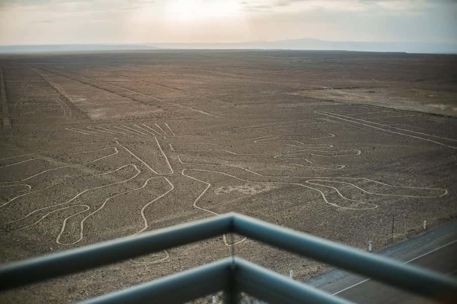 Nazca: Maria Reiche Museum and Nazca Lines Viewpoint Tour - Hotel pickup and transport: why the logistics feel low-stress