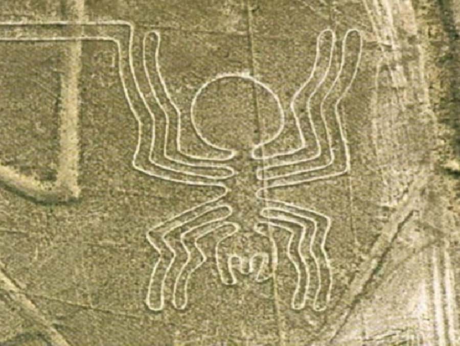 Nazca: Maria Reiche Museum and Nazca Lines Viewpoint Tour - Who should book this Nazca Lines tour—and who should skip it