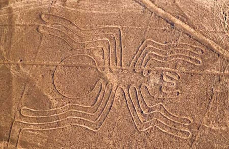 Nazca: Overflight of the Nazca Lines - Quick take: what matters most on this Nazca flight