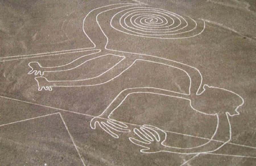 Nazca: Overflight of the Nazca Lines - Small group size and the 6-passenger reality check