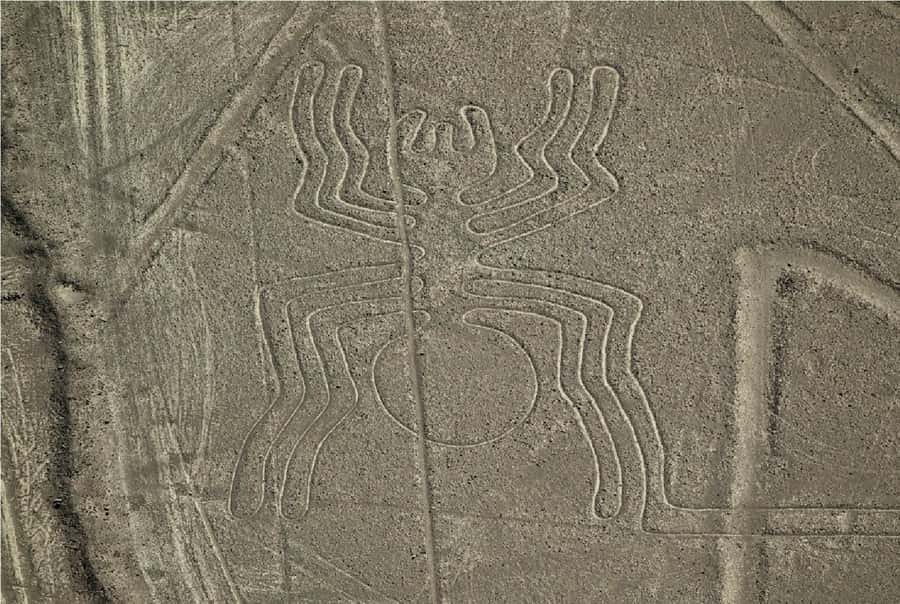 Nazca: Overflight of the Nazca Lines - Who should book this overflight (and who should think twice)