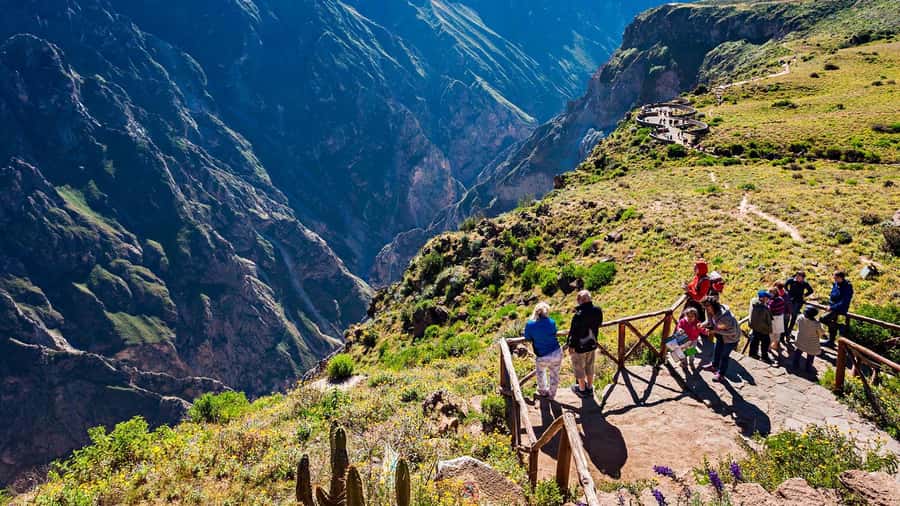 Offer Price: Colca Canyon One Day in Arequipa with Breakfast - Viewpoints and Towns: From Pinchollo to Yanque, a Canyon Day with Culture