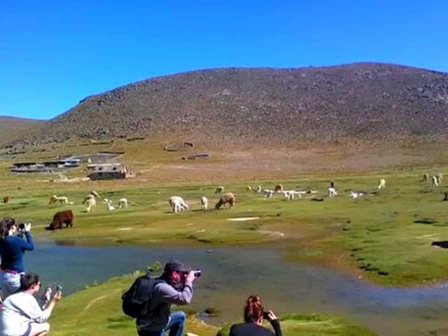 Offer Price: Colca Canyon One Day in Arequipa with Breakfast - Price and Logistics: What You Get for About $19, and What You Should Budget