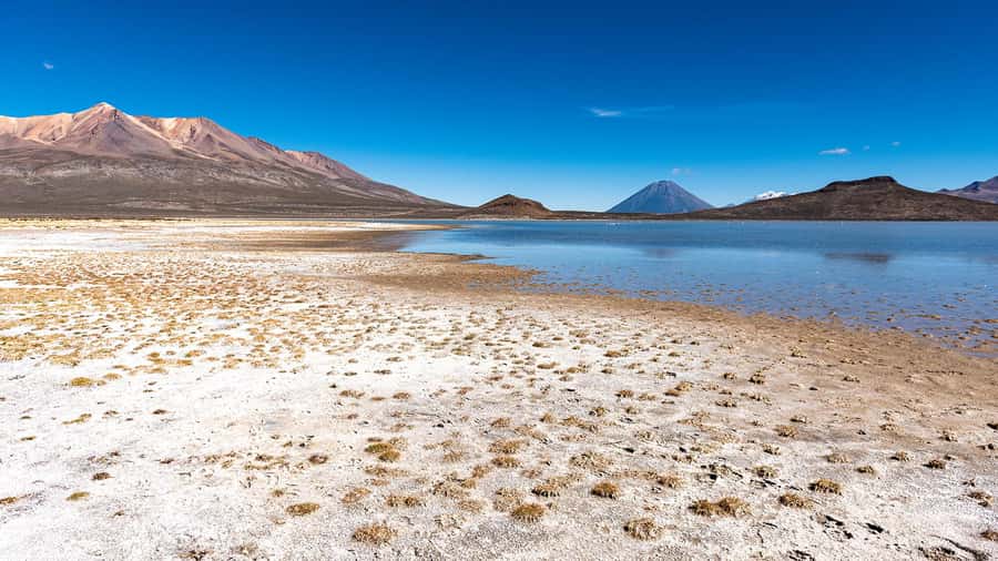 Offer Price Tour Salinas Lagoon and National Reserve 8 hours - The High Andean camelid and bird reserve stop