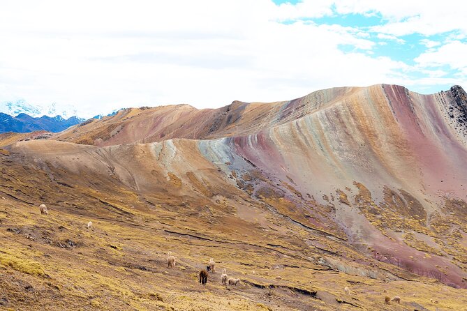 Palccoyo Rainbow Mountain Full Day Tour from Cusco - Group Size, Guide Support, and Why Names Matter