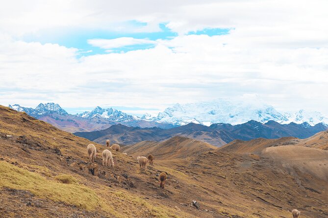 Palccoyo Rainbow Mountain Full Day Tour from Cusco - What to Bring So You Don’t Get Picked Off by Cold and Height