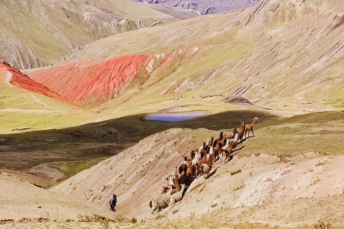 Palccoyo Rainbow Mountains Full Day Tour from Cusco - Four lagoons circuit: Acopia, Pomacanchis, posposqo cocha, misky cocha