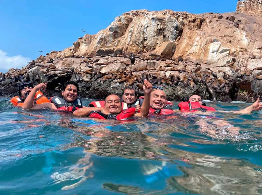 Palomino Islands Yacht Tour and swim alongside the sea lions - Key points before you go