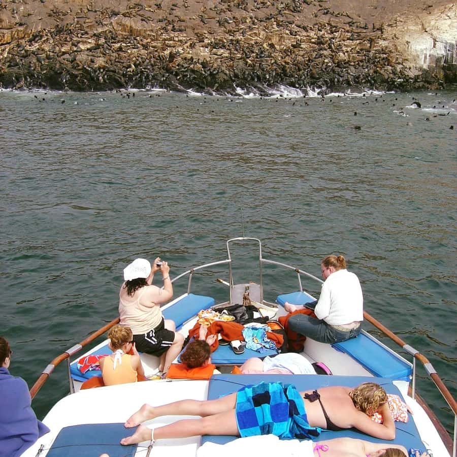 Palomino Islands Yacht Tour and swim alongside the sea lions - The coastal route: what you’re learning on the way out