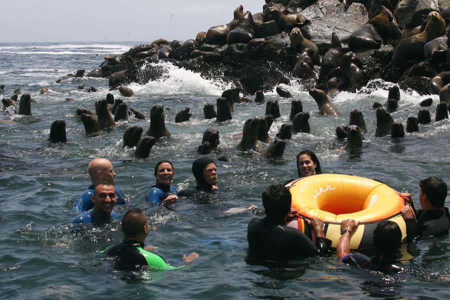 Palomino Islands Yacht Tour and swim alongside the sea lions - Getting to Callao and the yacht (Plaza Grau to open ocean)