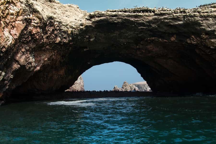 Paracas: Ballestas Island & Nature Reserve all inclusive - Playa Roja and Lagunillas: the best blend of color and birdlife