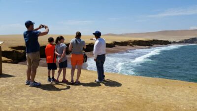 Paracas: Ballestas Island & Nature Reserve all inclusive - Hotel pickup and getting to the water without stress