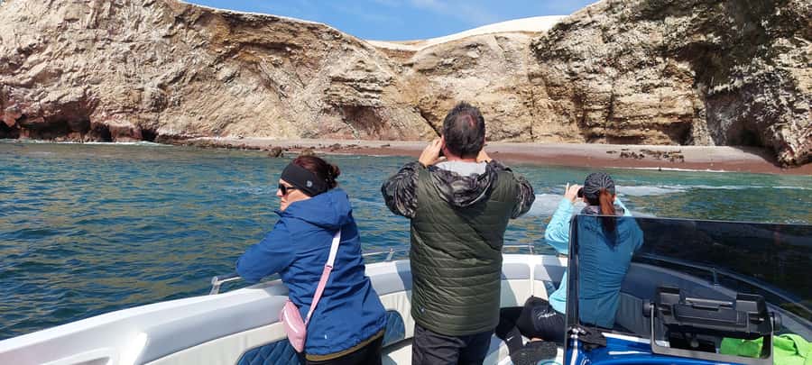 Paracas: Ballestas Island & Nature Reserve all inclusive - Ballestas Islands speedboat time: sea birds, sea lions, and penguin hopes